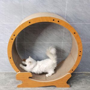 Silent cat fitness treadmill